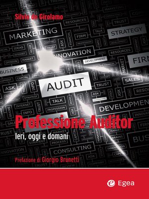 cover image of Professione Auditor